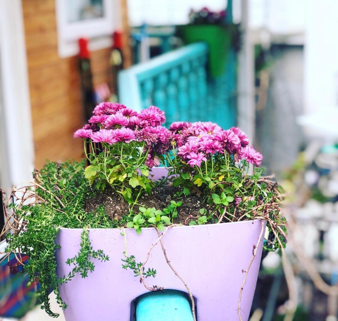Guest House Marina 2 트빌리시 외부 사진